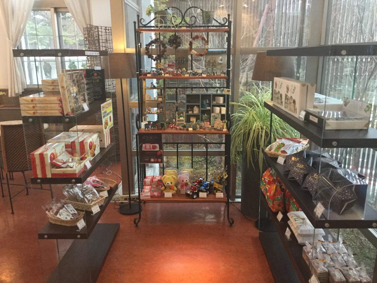 酒店 轻井泽圣丹斯度假酒店 3*